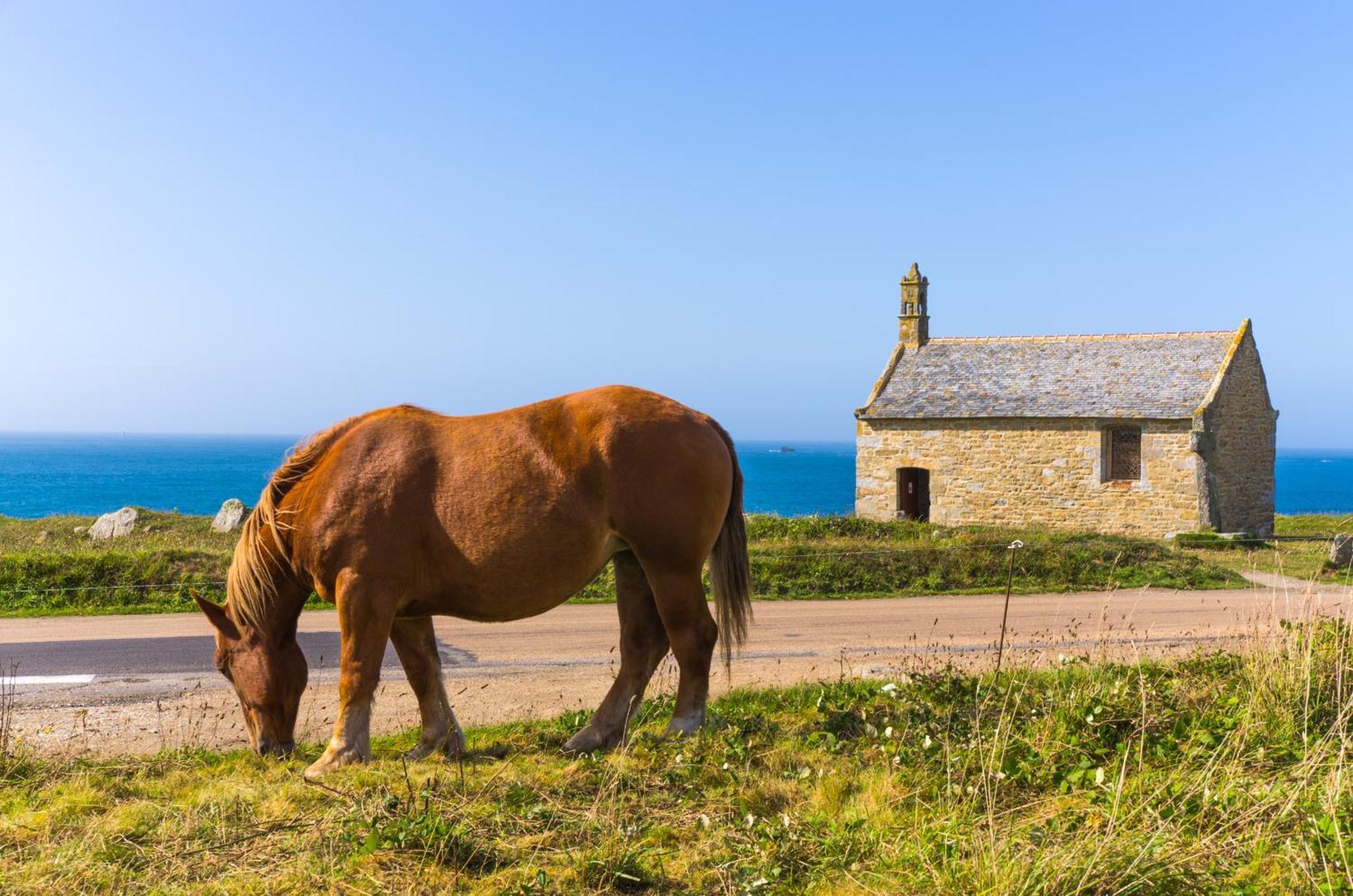 Вілла Ty Raok - Jolie Maison A Lilia A 200M De La Mer Плугерно Екстер'єр фото